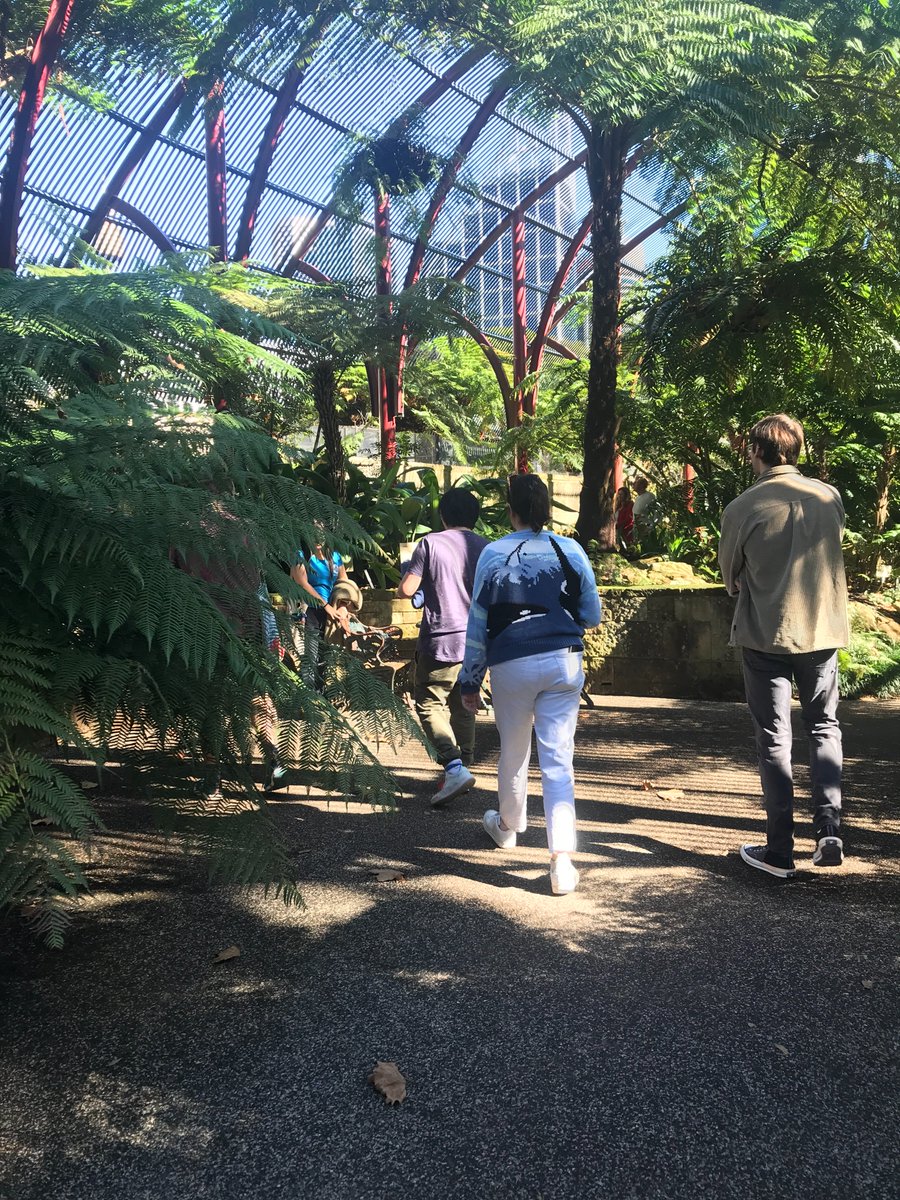 Thanks for coming to our botanic garden walk!

From the stunning succulent garden, the fab fernery and the eel in the duck pond we got to see so many natural wonders. We even got to meet a native bee!

#botanicgardens #nativebees #conservation #biology