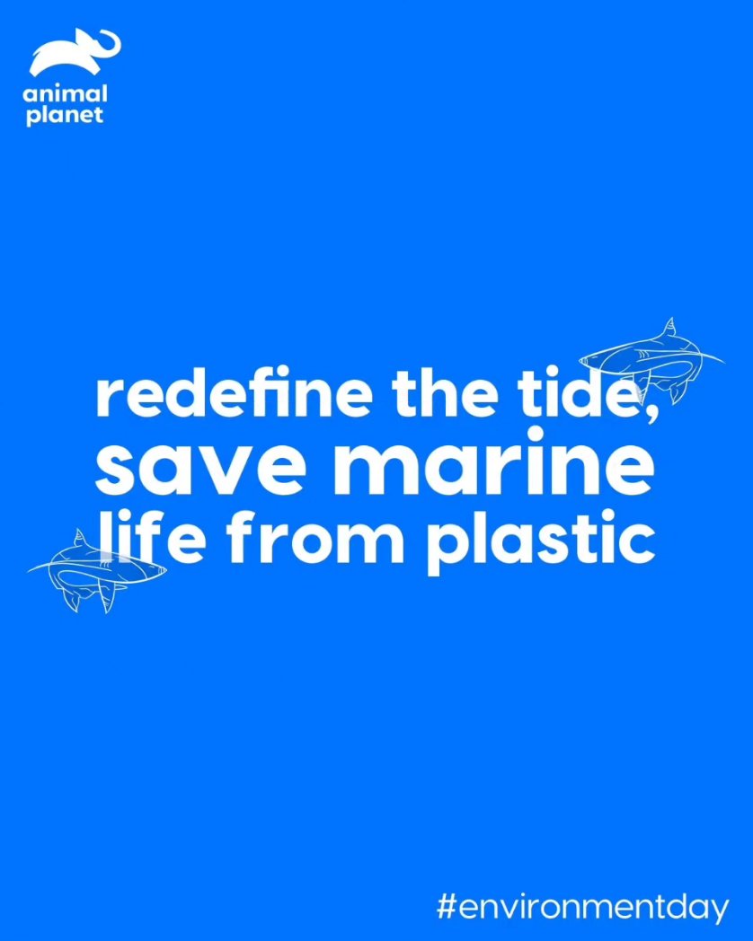 Hard to spot the shark? Then make the game easier 🦈

#AnimalPlanetIndia #AnimalPlanetIndia #DiscoveryChannelIn #DiscoveryChannelIndia #WorldEnvironmentDay #EnvironmentDay #PlasticPollution #Ocean #SaveTheOcean
