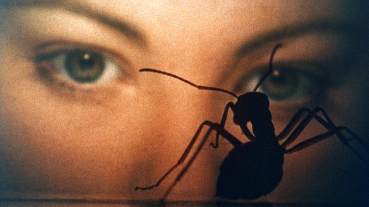foxhouet's tweet image. Quelque part entre le documentaire et l'expérimental, Saul Bass imaginait pour sa seule réalisation le soulèvement progressif d'une colonie de fourmis, scruté par des scientifiques qui sont peut-être les vrais cobayes.

De la SF froide et hermétique, mais fascinante. #PhaseIV