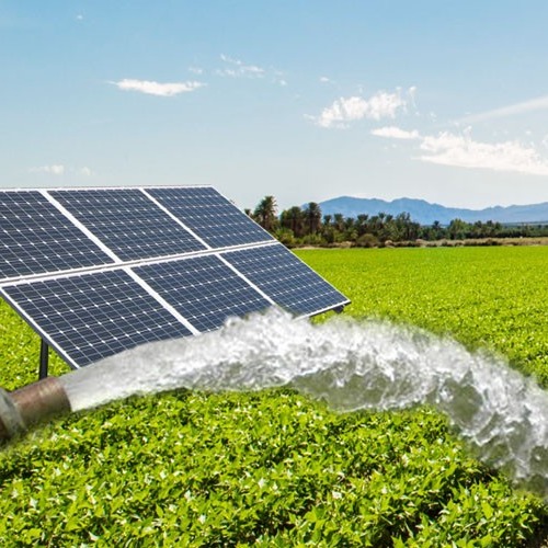 Join the eco-friendly farming movement with IrWise. Our sustainable irrigation systems save water while maximizing crop yield. #Sustainability #EcoFriendlyFarming #WaterConservation