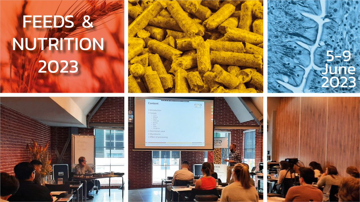 Schothorst Feed Research offers an amazing 5-days course about Feed & Nutrition in animals. Join and learn more more about theoretical and practical aspects of nutrition in different species. Follow the link below about the content of the course bitly.ws/HbJ6