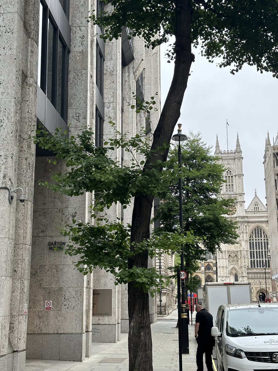 Stian Westlake tweet media