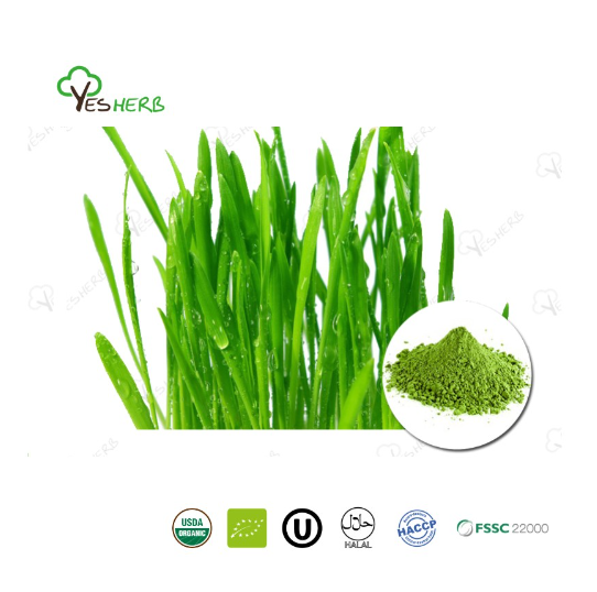 AnYuensun's tweet image. #WheatGrass Powder
Product Name: Wheat Grass Powder
Latin Name: Triticum aestivum L.
Used Part: Young Leaf
Appearance: Green fine powder
Certification: Organic, Kosher, Halal, HACCP, FSSC 22000
#organicvegetable #vegetablepowder   #healthy  #yesherb 
yesherb.com/products/wheat…