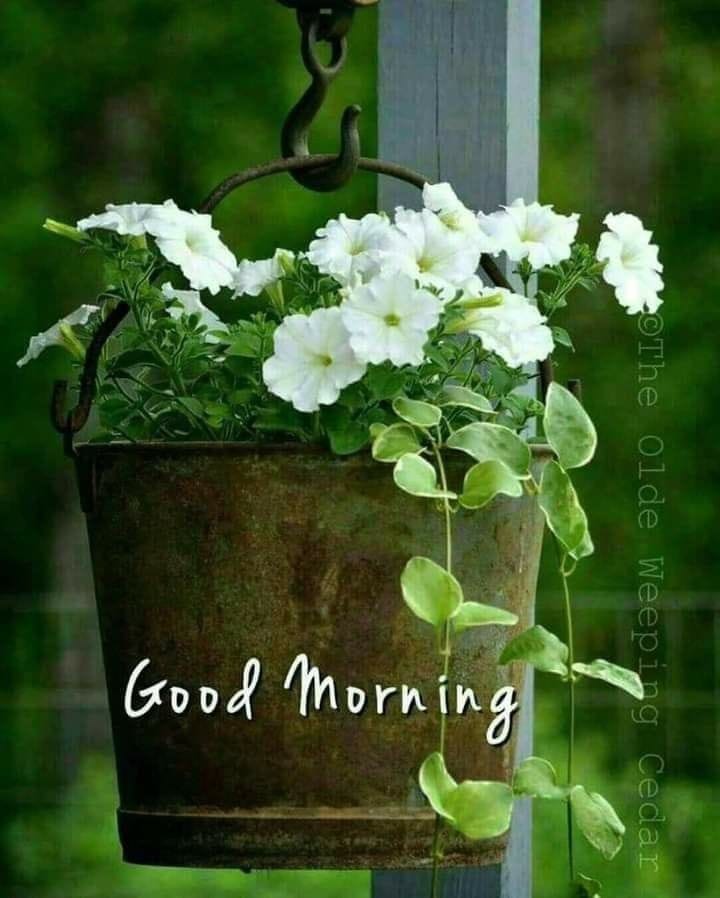 @ls_ganesan Gm jsk Sir & everyone 🙏
Happy week ahead