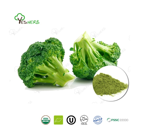 AnYuensun's tweet image. Broccoli Powder
Product Name: Broccoli powder
Latin Name: Brassica oleracea L.var.italic Planch.
Used Part: Whole Body
Appearance: Green fine powder
Certification: Organic, Kosher, Halal, HACCP, FSSC 22000
#organicvegetable #Vegetablepowder #yesherb #SpinachPowder