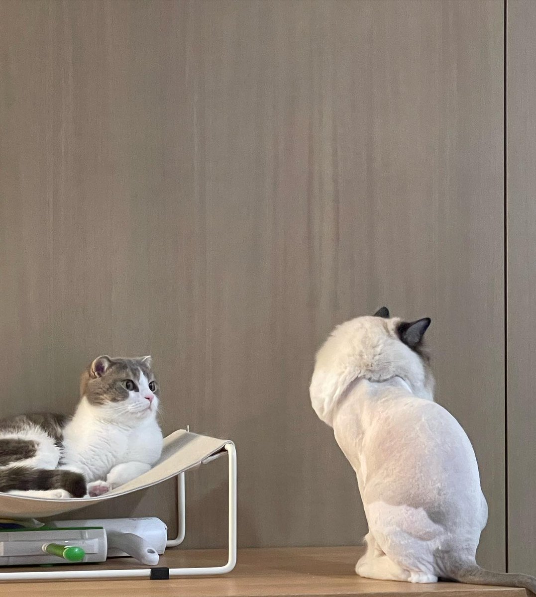 HAPPY BIRTHDAY BRO 😻