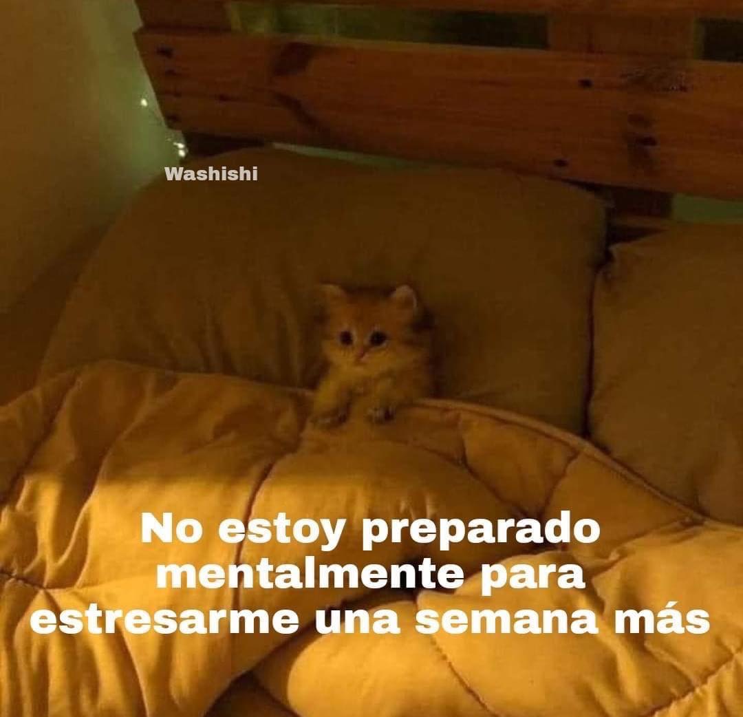 El Guarromántico tweet media