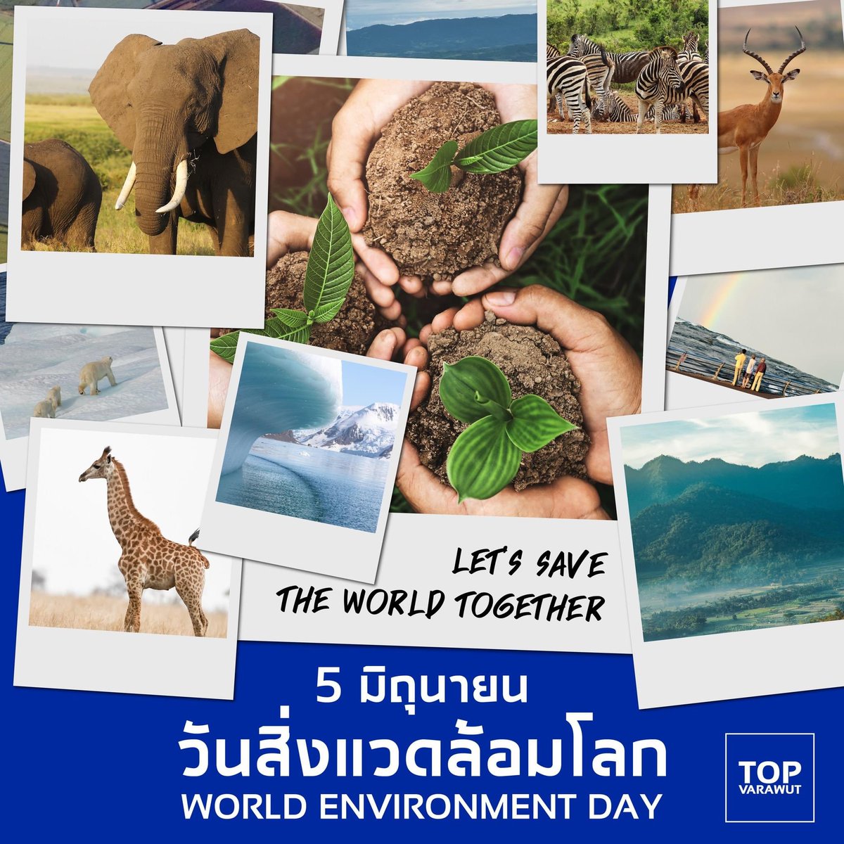 5 มิถุนายน วันสิ่งแวดล้อมโลก
 World environment day มาช่วยกันทำให้โลกนี้น่าอยู่กันเถอะ เริ่มจากตัวเอง ฝึกให้เป็นวินัย ลดการสร้างขยะ เพิ่มต้นไม้พื้นทีสีเขียว 🌿🌱🌎🪻🌾🪸🌤️
      
#TOPVarawut #ทีมพี่ท็อป #ioพี่ท็อป #TogetherPossible #BelieveinThaiPeople #MNRE #วันสิ่งแวดล้อมโลก