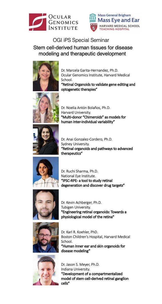 MarCelula tweet media