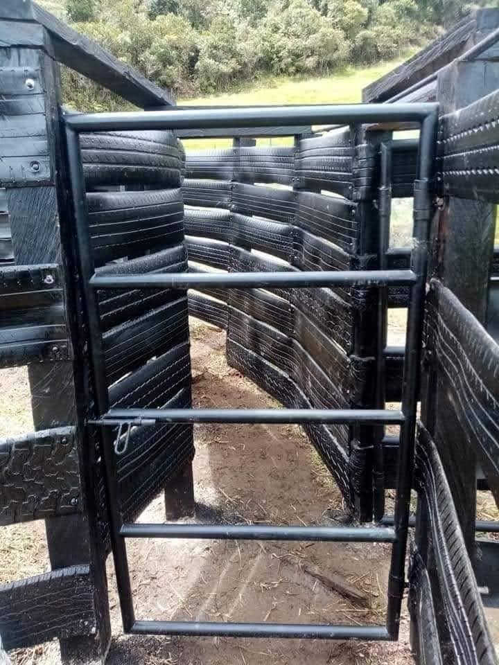 Мод ховордож үнэтэй болсон цагт хэрэгтэй л санаа байна малчид тариаланчид...