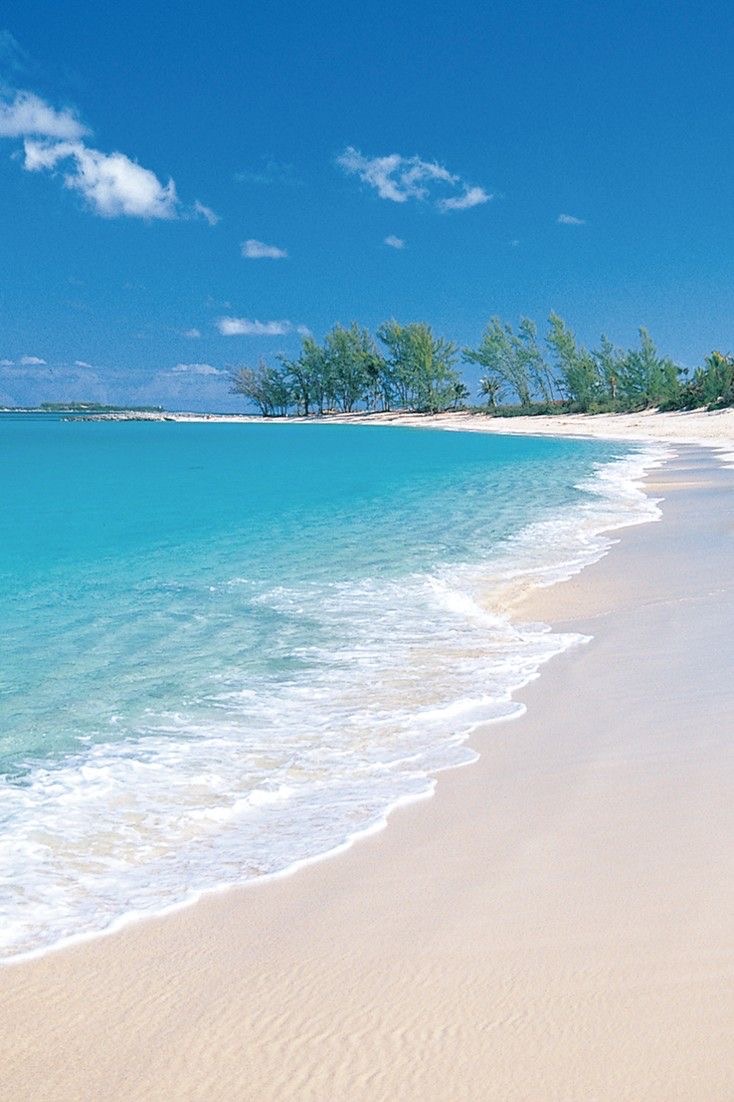 MPC_Commu's tweet image. #MPC4_Island 

เมื่อลงมาจากเรือ ทุกคนจะได้พบกับหาดทรายสีขาวสุดตระการตาและน้ำทะเลที่ใสสะอาด ถ้าพลาดที่จะเล่นน้ำล่ะก็เสียเที่ยวแย่!

เพิ่มเติมในส่วนของพื้นที่ใต้ทะเล ลูกมูสามารถสร้างสรรค์เองได้อย่างอิสระรวมถึงสปีชี่ส์ของสัตว์ทะเลด้วย