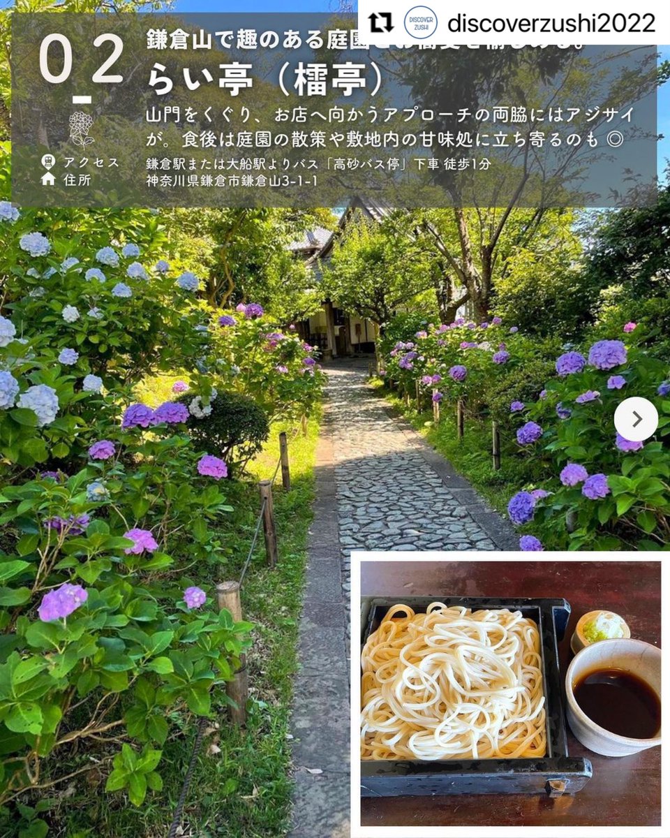 raiteikamakura's tweet photo. 【アジサイも楽しめる店】として#DiscoverZUSHI ディスカバーズシさんのサイトでご紹介頂きました。　@discoverzushi2022

#鎌倉 #檑亭 #蕎麦 #甘味処 #らい亭 #鎌倉ランチ #日本庭園 #kamakura #会席料理 #鎌倉山  #湘南グルメ #カフェ #飲み放題
#食事会 #アジサイ　#紫陽花　#鎌倉デート https://t.co/ANq5ARB8cO