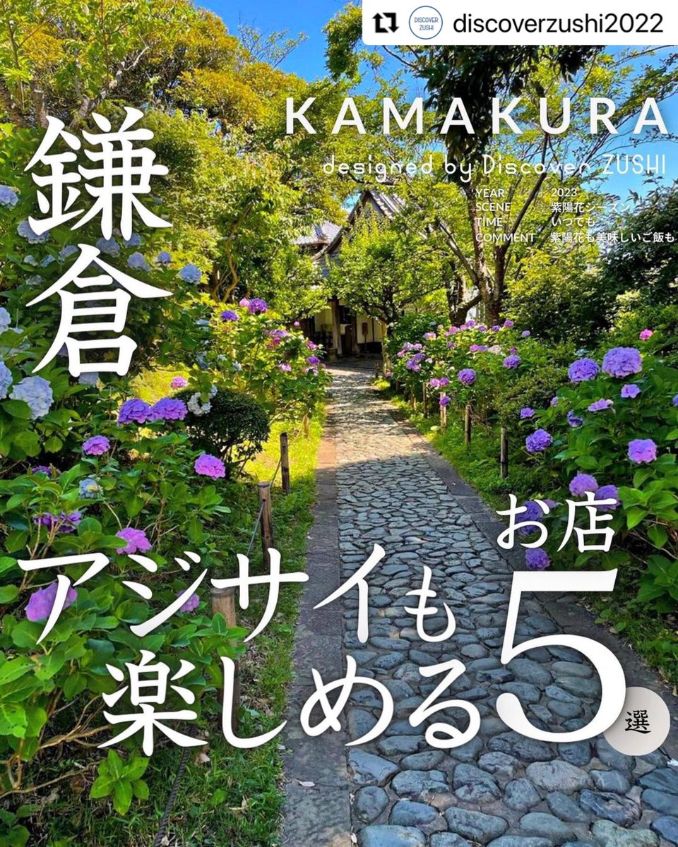 raiteikamakura's tweet photo. 【アジサイも楽しめる店】として#DiscoverZUSHI ディスカバーズシさんのサイトでご紹介頂きました。　@discoverzushi2022

#鎌倉 #檑亭 #蕎麦 #甘味処 #らい亭 #鎌倉ランチ #日本庭園 #kamakura #会席料理 #鎌倉山  #湘南グルメ #カフェ #飲み放題
#食事会 #アジサイ　#紫陽花　#鎌倉デート https://t.co/ANq5ARB8cO