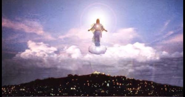 suns1699's tweet image. 