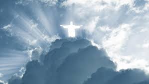 suns1699's tweet image. 