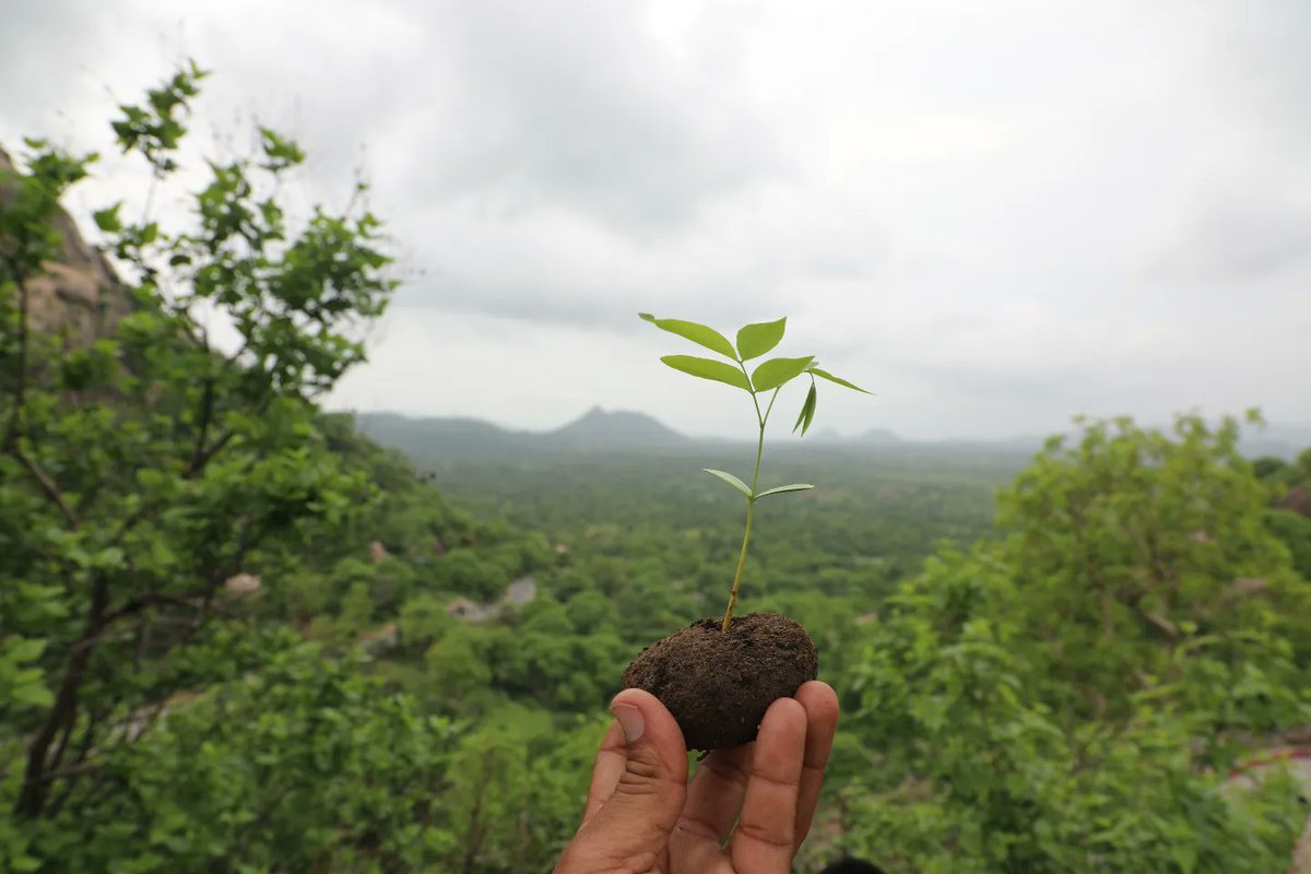 mayurbehera7's tweet photo. पेड़ों से सजाएं धरती को,
बचाएं बिजली और पानी,
न फैलाएं कुड़ा, इससे होगी
जल थल की हानि,
एक ही घर हमारा ये पृथ्वी,
जीवनदाई है ये धरा!
पर्यावरण बचाएँ मिलकर
कर्तव्य हम सब का है ये बड़ा।
#WorldEnvironmentDay2023 https://t.co/al8inZM555