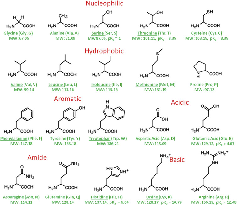 TradClin's tweet photo. #proteins have a high #amount of #branched chain #amino acids such as #leucine, #isoleucine, and #valine.
https://t.co/GdosbpXmWe https://t.co/gmf5n3rOV6