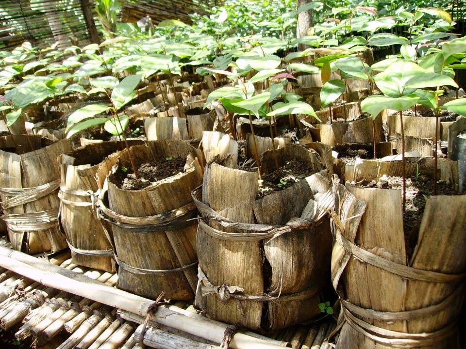 miketerungwa's tweet photo. Happy World Environment Day to you all.
Beating plastic pollution begin with us and the choices we make. 
We have to end our addiction with plastic especially single use plastic.
Make a choice today, get that reusable shopping bag, water bottle. 
#BeatPlasticPollution 
#WED2023 https://t.co/ZDTwD2IVLt