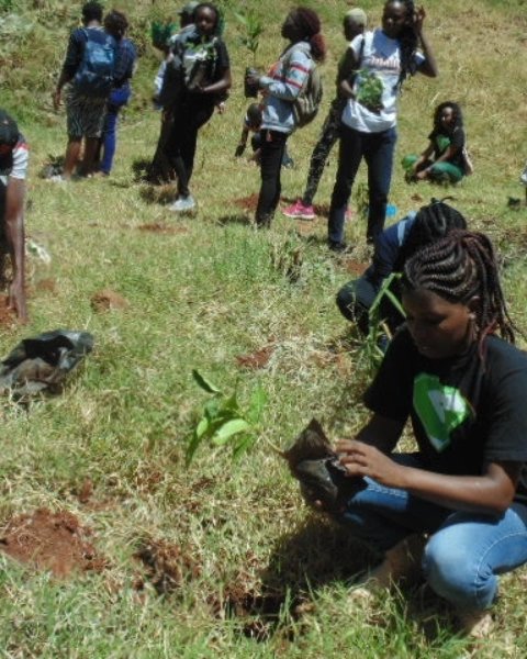 valleryogutu's tweet photo. Our environment is our wellbeing,using it sustainably and protesting it is very key for us as present generation and future generations. Anything you do, however small you think it is in terms of environmental conservation,do it💯. 
#WorldEnvironmentDay2023 
#savelakevictoria https://t.co/azK2LoCmDL