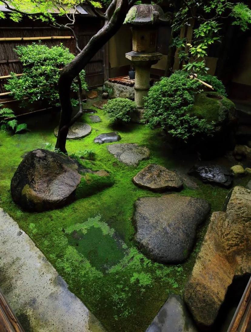 Kylie13104's tweet image. その国の特徴である苔の美しさ