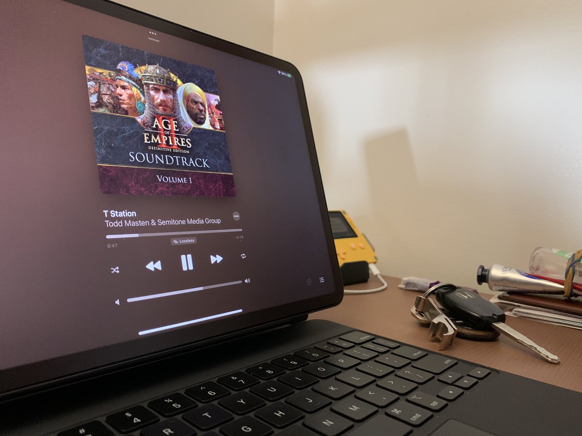 How good is a video game soundtrack when you are doing chores round the house?! I’m getting back into the AOE:II soundtrack. 
What are some of your favourite game soundtracks to power you on through your work?