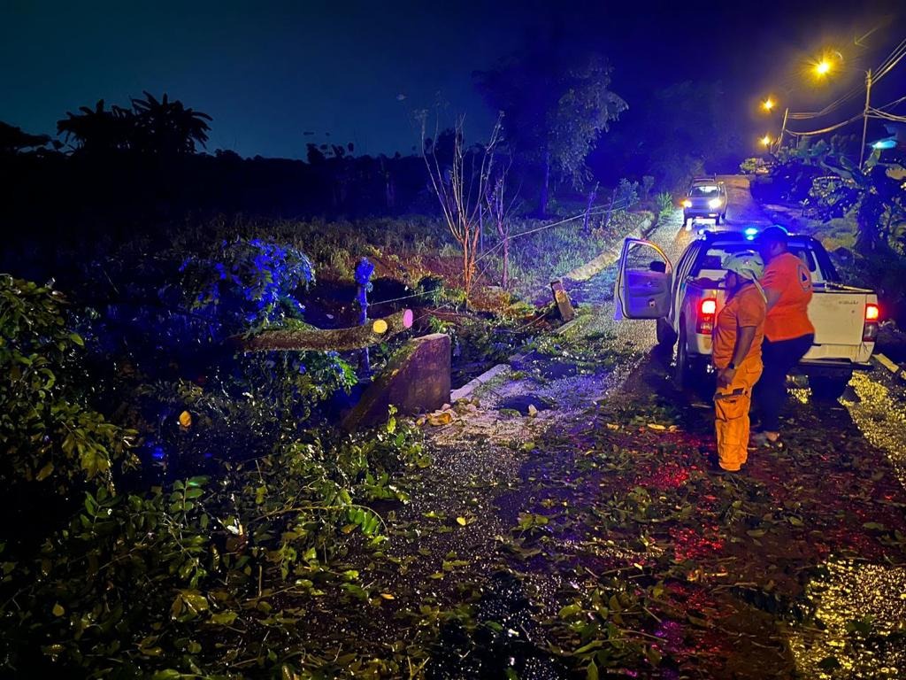 SINAPROC PANAMA on Twitter "Panamá Realizamos corte y remoción de