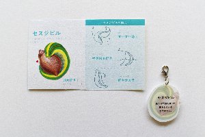 【グッズ紹介③】
セスジビルキーホルダー🎉
<a href="/ito_ari3/">いと-あり</a> さんとのコラボグッズ✨

大好物の貝を抱きしめるぽてっとしたかわいいセスジビルちゃんです！！
セスジビル推しの方はぜひ😊

#ヤマビル伝道師
#ヒルちゃん祭り #セスジビル