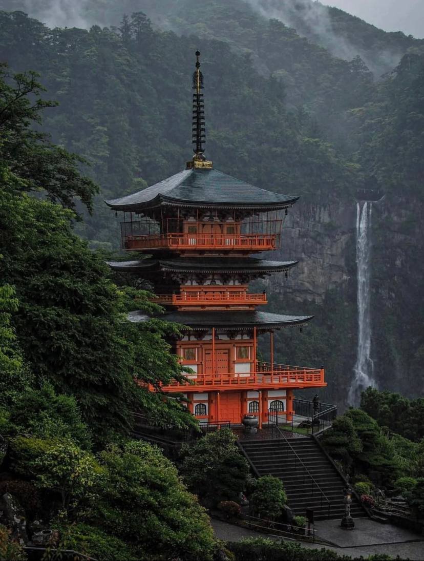 Kylie13104's tweet image. その国の特徴である苔の美しさ