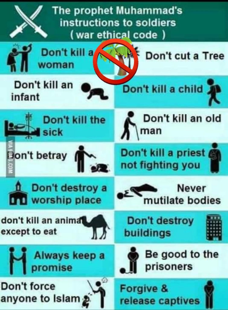 Taliban don't obey in nothing to Allah and His Messenger. They Just use religion to own benefit, and to can control and opress others. #DontRecognizeTaliban #StopTaliban #StopTerrorism #StopIgnorance #westandwithafghanwomen #StopHazaraGenocide