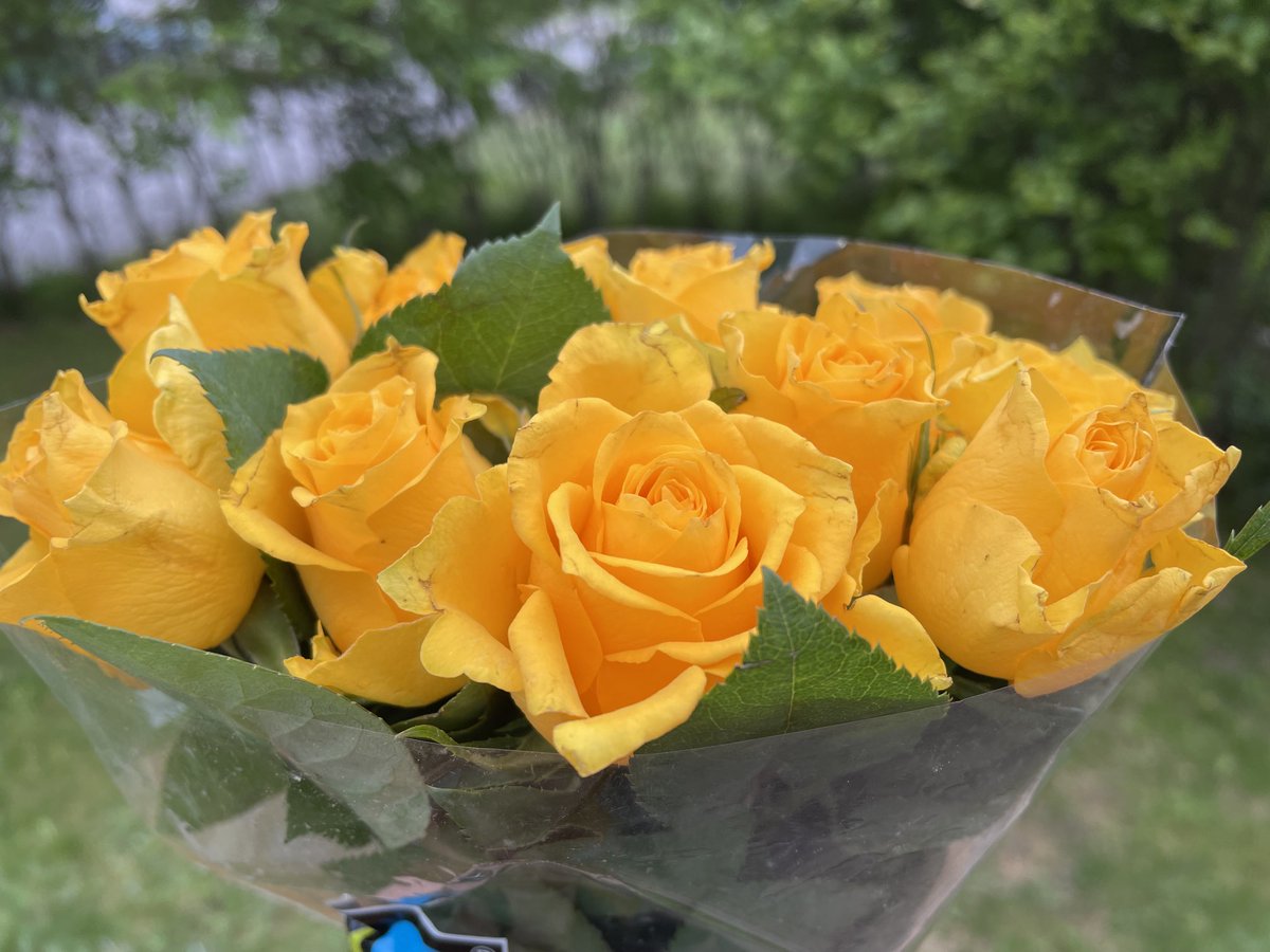 malmstrom_hanna's tweet photo. Lastensuojelu on rinnalla kulkemista. Huomioimista. 🌺 nuoren saadessa peruskoulun päättötodistuksen tai vanhemmalle piristykseksi 💐kuormittavassa tilanteessa. @hkilastensuoj #Toivotiimi https://t.co/u9Ymt7SvzT
