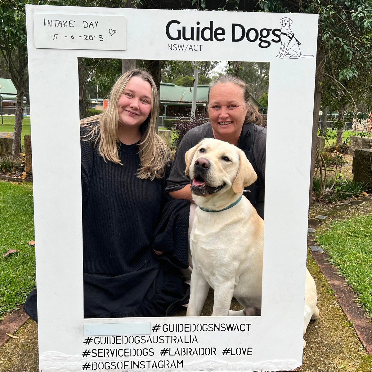 Mumdeep's tweet photo. It was goodbye today to Walken as we dropped him off at @GuideDogsAUS for his next adventure. It's been a pleasure and an honour to have him as part of our family. #guidedogsnswact
#servicedogs #labrador
#dogsofinstagram #guidedogsaustralia https://t.co/mQplvhhf1C
