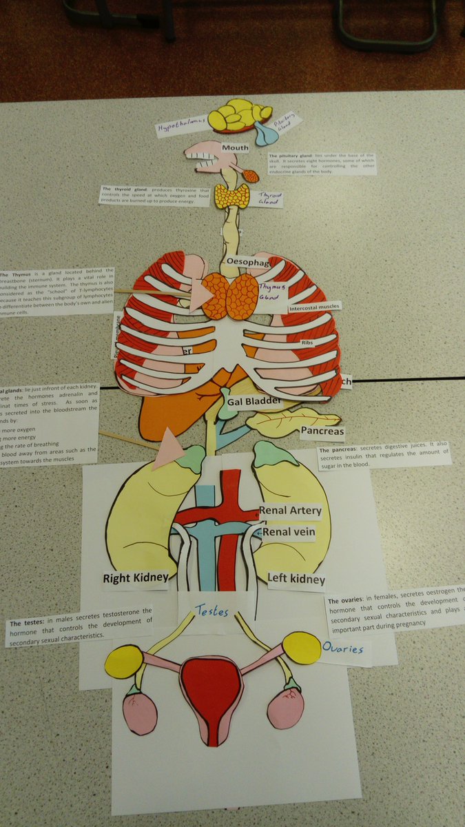 Why not give modelling it a go when things start to get back to normal after the exam period.  Here's an example of something I use

 #ukedchat #science #nqtchat #aqascience #aussieED #edchat