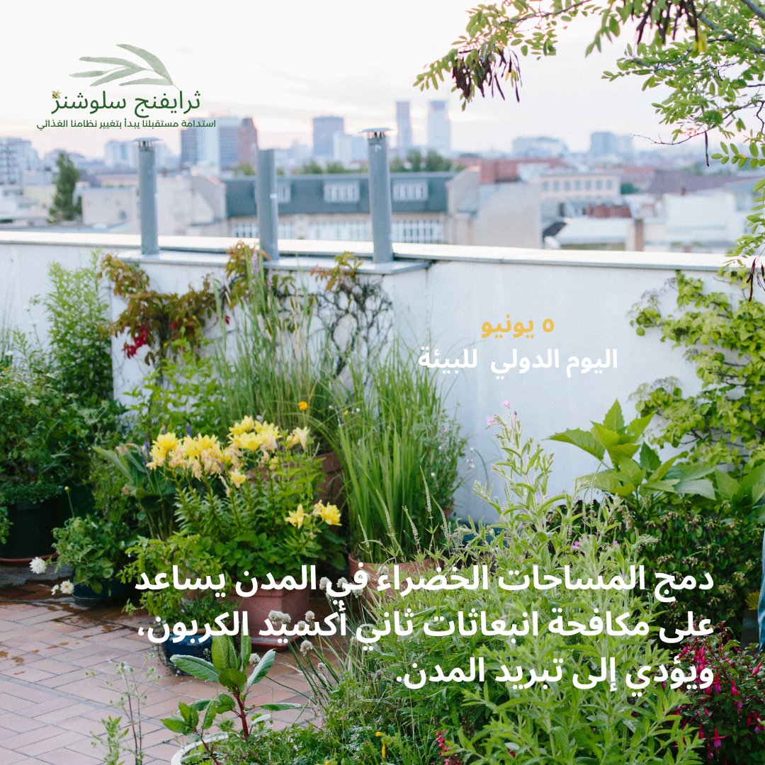 ثرايفنج سلوشنز مكرسة للوصول للحياد الكربوني، وحماية التنوع البيولوجي، وتعزيز الأمن الغذائي والتغذية والمياه
#OnlyOneEarth #ActNow #NetZero United Nations UN Environment Programme
