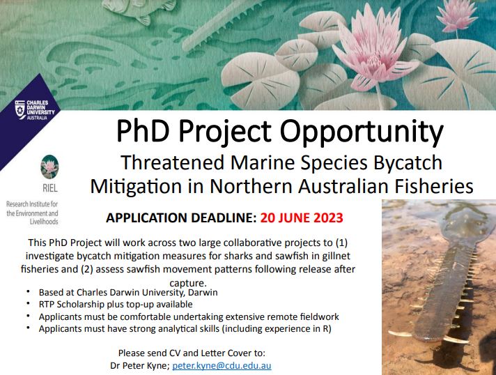 OceaniaSharks (@oceaniasharks) on Twitter photo ๐จ PhD Opportunity ๐จ
#sharkscience PhD project available <a href="/CDUni/">Charles Darwin University</a>
"๐ง๐ต๐ฟ๐ฒ๐ฎ๐๐ฒ๐ป๐ฒ๐ฑ ๐ ๐ฎ๐ฟ๐ถ๐ป๐ฒ ๐ฆ๐ฝ๐ฒ๐ฐ๐ถ๐ฒ๐ ๐๐๐ฐ๐ฎ๐๐ฐ๐ต ๐ ๐ถ๐๐ถ๐ด๐ฎ๐๐ถ๐ผ๐ป ๐ถ๐ป ๐ก๐ผ๐ฟ๐๐ต๐ฒ๐ฟ๐ป ๐๐๐๐๐ฟ๐ฎ๐น๐ถ๐ฎ๐ป ๐๐ถ๐๐ต๐ฒ๐ฟ๐ถ๐ฒ๐"
Apps close: ๐ฎ๐ฌ๐๐ต ๐๐๐ป๐ฒ ๐ฎ๐ฌ๐ฎ๐ฏ
More details below ๐ ๐จ PhD Opportunity ๐จ
#sharkscience PhD project available <a href="/CDUni/">Charles Darwin University</a>
"๐ง๐ต๐ฟ๐ฒ๐ฎ๐๐ฒ๐ป๐ฒ๐ฑ ๐ ๐ฎ๐ฟ๐ถ๐ป๐ฒ ๐ฆ๐ฝ๐ฒ๐ฐ๐ถ๐ฒ๐ ๐๐๐ฐ๐ฎ๐๐ฐ๐ต ๐ ๐ถ๐๐ถ๐ด๐ฎ๐๐ถ๐ผ๐ป ๐ถ๐ป ๐ก๐ผ๐ฟ๐๐ต๐ฒ๐ฟ๐ป ๐๐๐๐๐ฟ๐ฎ๐น๐ถ๐ฎ๐ป ๐๐ถ๐๐ต๐ฒ๐ฟ๐ถ๐ฒ๐"
Apps close: ๐ฎ๐ฌ๐๐ต ๐๐๐ป๐ฒ ๐ฎ๐ฌ๐ฎ๐ฏ
More details below ๐