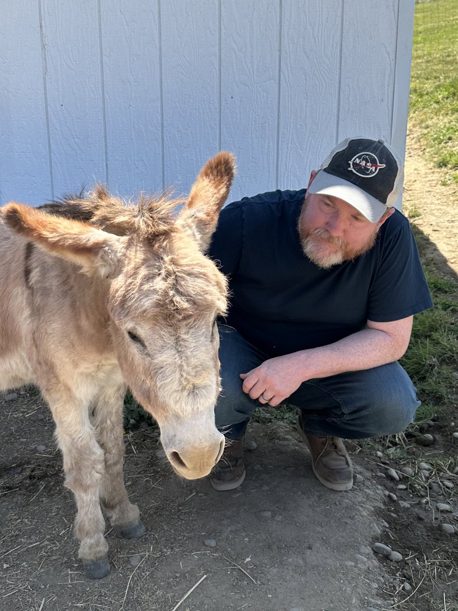 Visited the donkey sanctuary today and made a new friend. Fun fact: my family had a donkey when I was like 0-3 years old. I need to figure out how I can fit one into my life again.