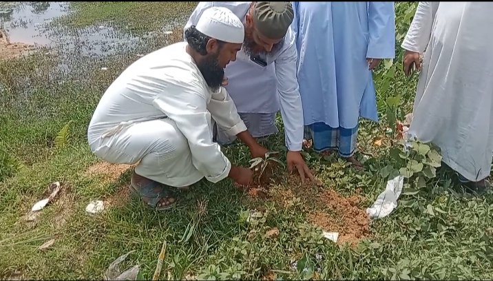 mnhoque09's tweet photo. বিশ্ব পরিবেশ দিবস উদযাপন ২০২৩। @ALJAMIARATABARI 
#WorldEnvironmentDay https://t.co/fWlHMGEYq5