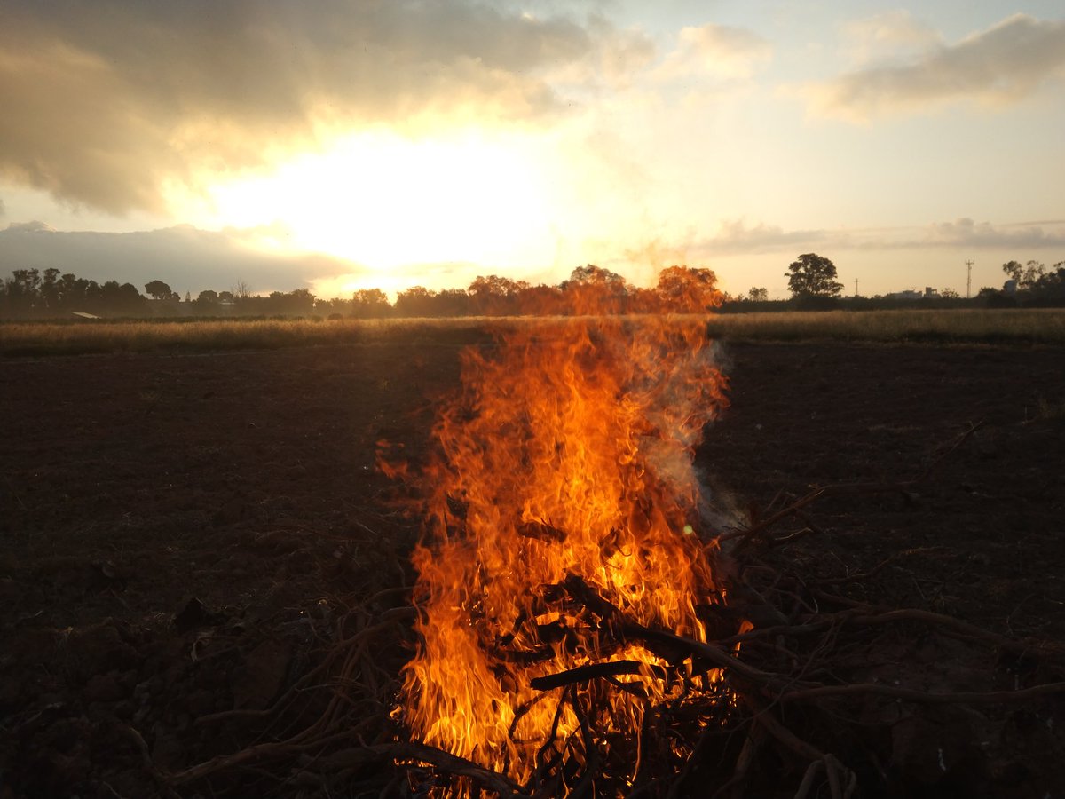 Ismael Navarro 🍊 tweet media