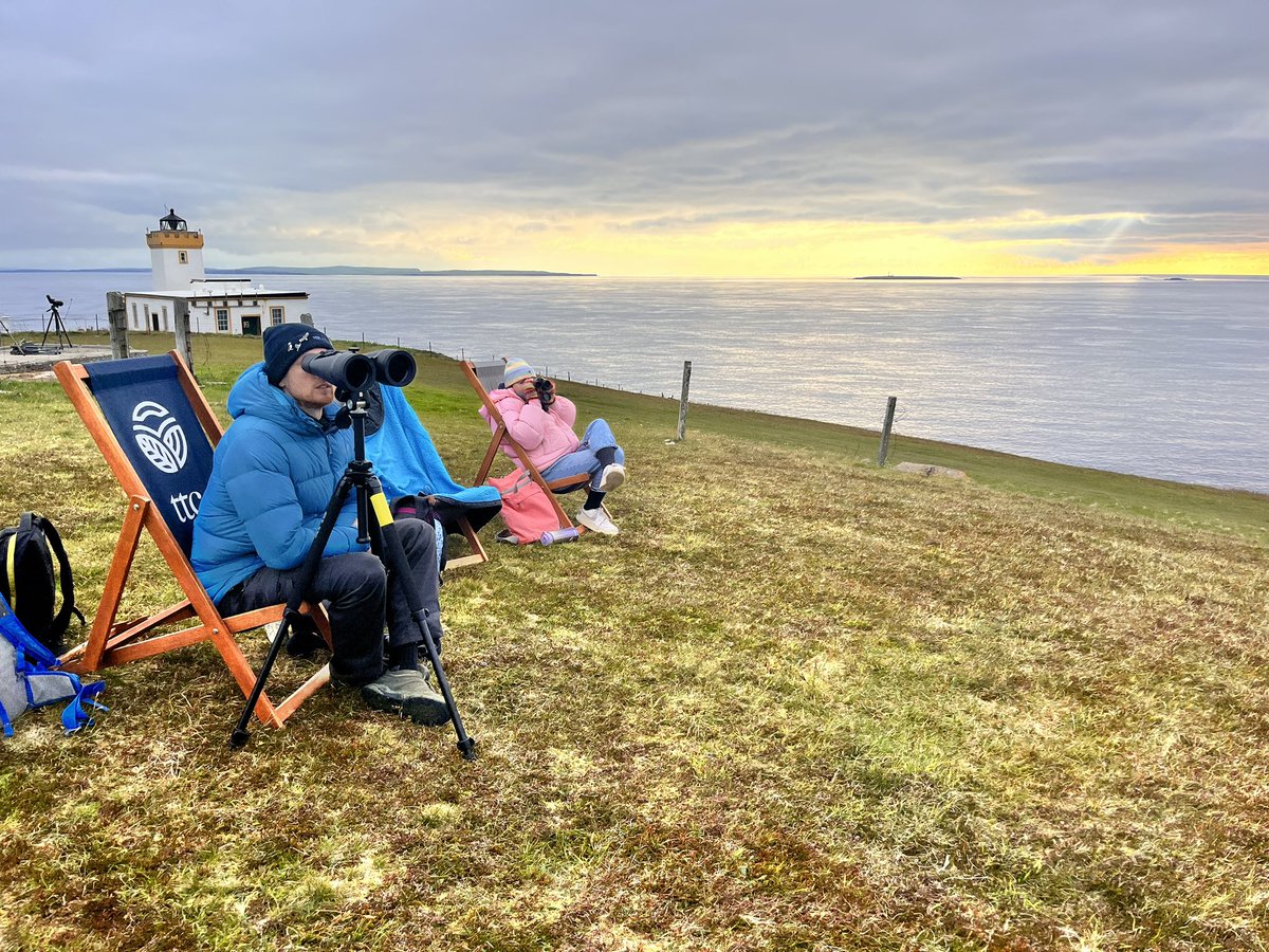 Christy T. Judd (She/Her) tweet media