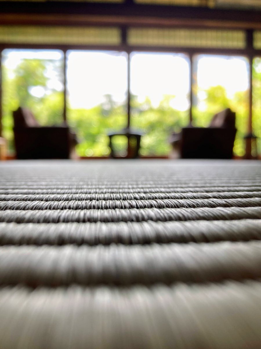 camelliakyoto's tweet photo. ✨GARDEN TEAHOUSE REFRESH✨

To celebrate the 100th birthday of the wonderful building we call 'Garden Teahouse', fresh tatami, fusuma, shoji and furniture were ordered.
But then the pandemic derailed our plans.

Finally things are back on track, and today fresh tatami was laid🙌 https://t.co/F787p1tJmX