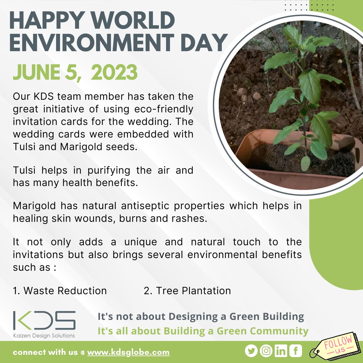 kdsglobe's tweet photo. We are happy to share the initiative of our employee for eco-friendly wedding invitation cards. 

The image inset is the actual plant grown from the invitation card.

#worldenvironmentday #ecofriendlyinvitations #seedpaper https://t.co/WDmPTyrd9n