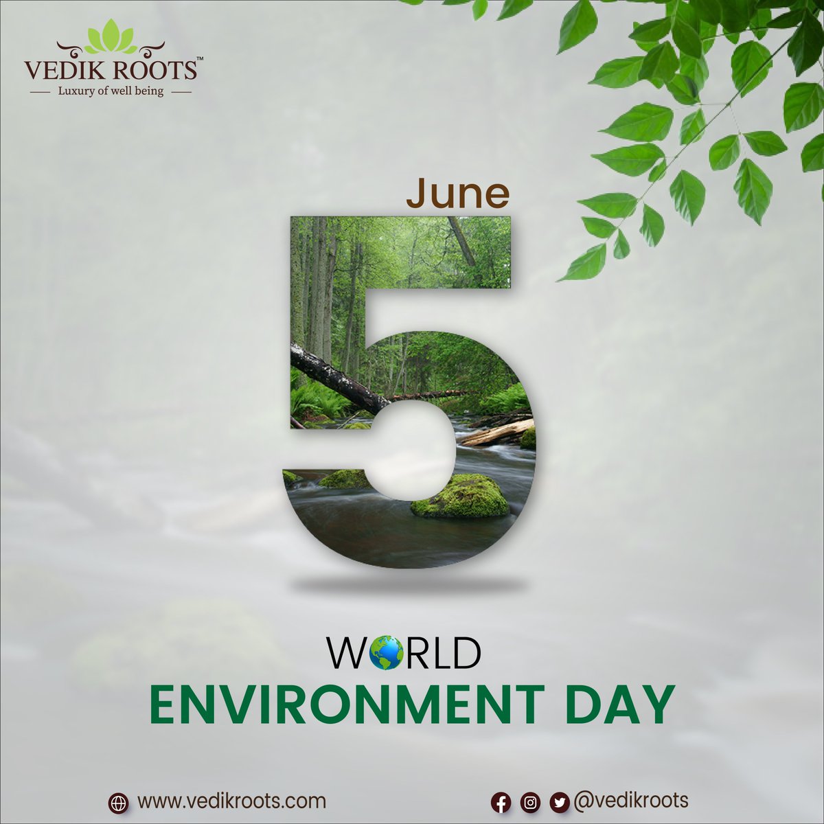 Let's make every day World Environment Day by making conscious choices that nurture and protect our planet. 🌿💙 Happy World Environment Day! #Vedikroots #ConsciousLiving #EarthProtectors