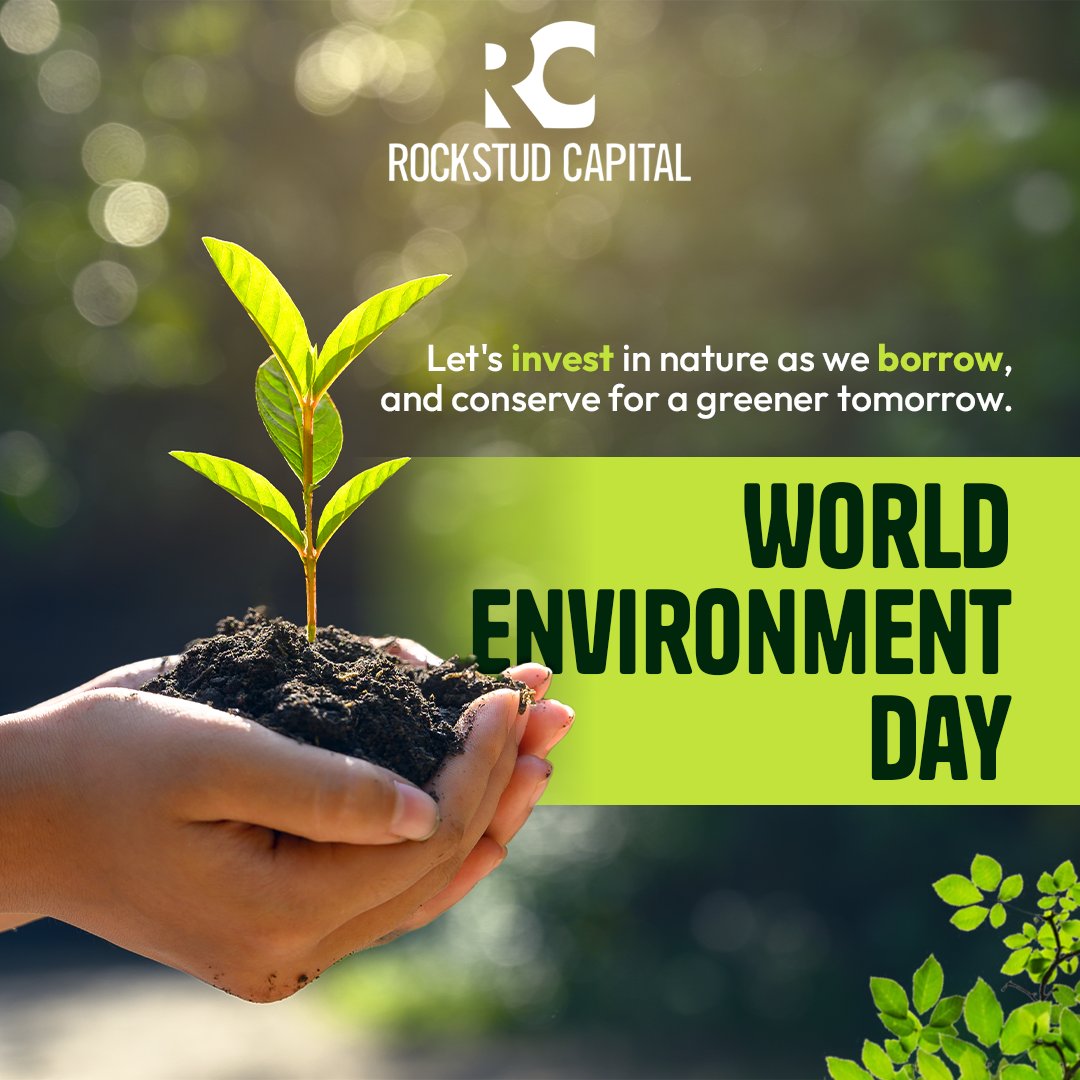 On this World Environment Day, lets step up together for a better future! #RockstudCapital #Nature #Environment #WorldEnvironmentDay