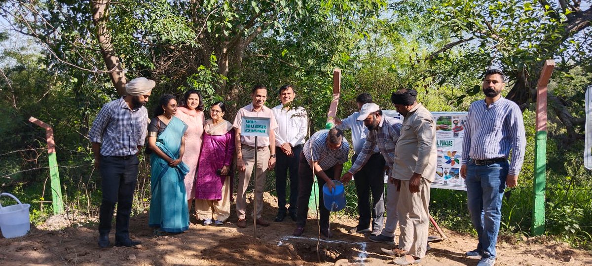 Saurabh Gupta (@guptaifs) on Twitter photo Planting of sapling on #WorldEnvironmentDay2023 by PCCF, Punjab. Please make it a Jan andolan for securing the future of our next generation.
<a href="/moefcc/">MoEF&CC</a> <a href="/ceo_mtp/">CEO Mission Tandrust Punjab</a> <a href="/IGNFA_GoI/">IGNFA</a> @mohalidpro <a href="/UNDP_India/">UNDP India</a>
<a href="/UNDPClimate/">UNDP Climate</a> Planting of sapling on #WorldEnvironmentDay2023 by PCCF, Punjab. Please make it a Jan andolan for securing the future of our next generation.
<a href="/moefcc/">MoEF&CC</a> <a href="/ceo_mtp/">CEO Mission Tandrust Punjab</a> <a href="/IGNFA_GoI/">IGNFA</a> @mohalidpro <a href="/UNDP_India/">UNDP India</a>
<a href="/UNDPClimate/">UNDP Climate</a>