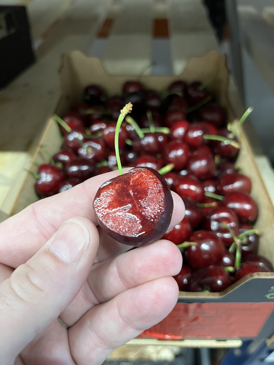 First Choice Produce tweet media