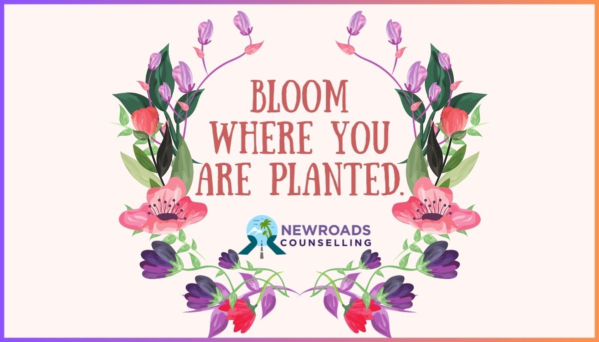 #BetterLifeTips #Bloom where you are #planted. #fruitful #producingbetter #production #sowseed #reaptheresult #growingsteadily #selfimprovement #purposeinlife #lifegoals #relationshipgoals  newroadscounselling.com.au/blog/
