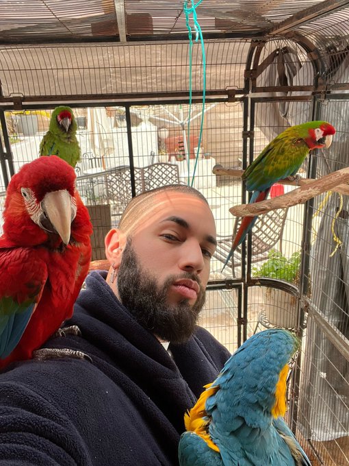 My new macaw 🦜 now I have 4 🦜🦜🦜 🥰 https://t.co/Hu3nF6Fz6N<a href="/tag/mykonos"class="tags"><span>#mykonos</span></a>