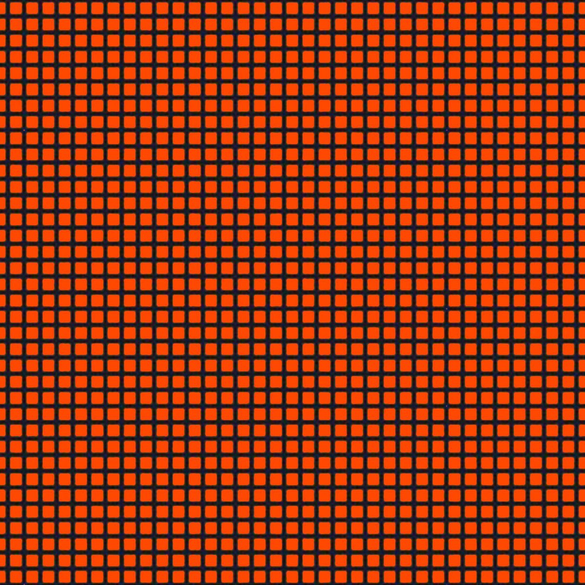 wizard (dev arc) tweet media