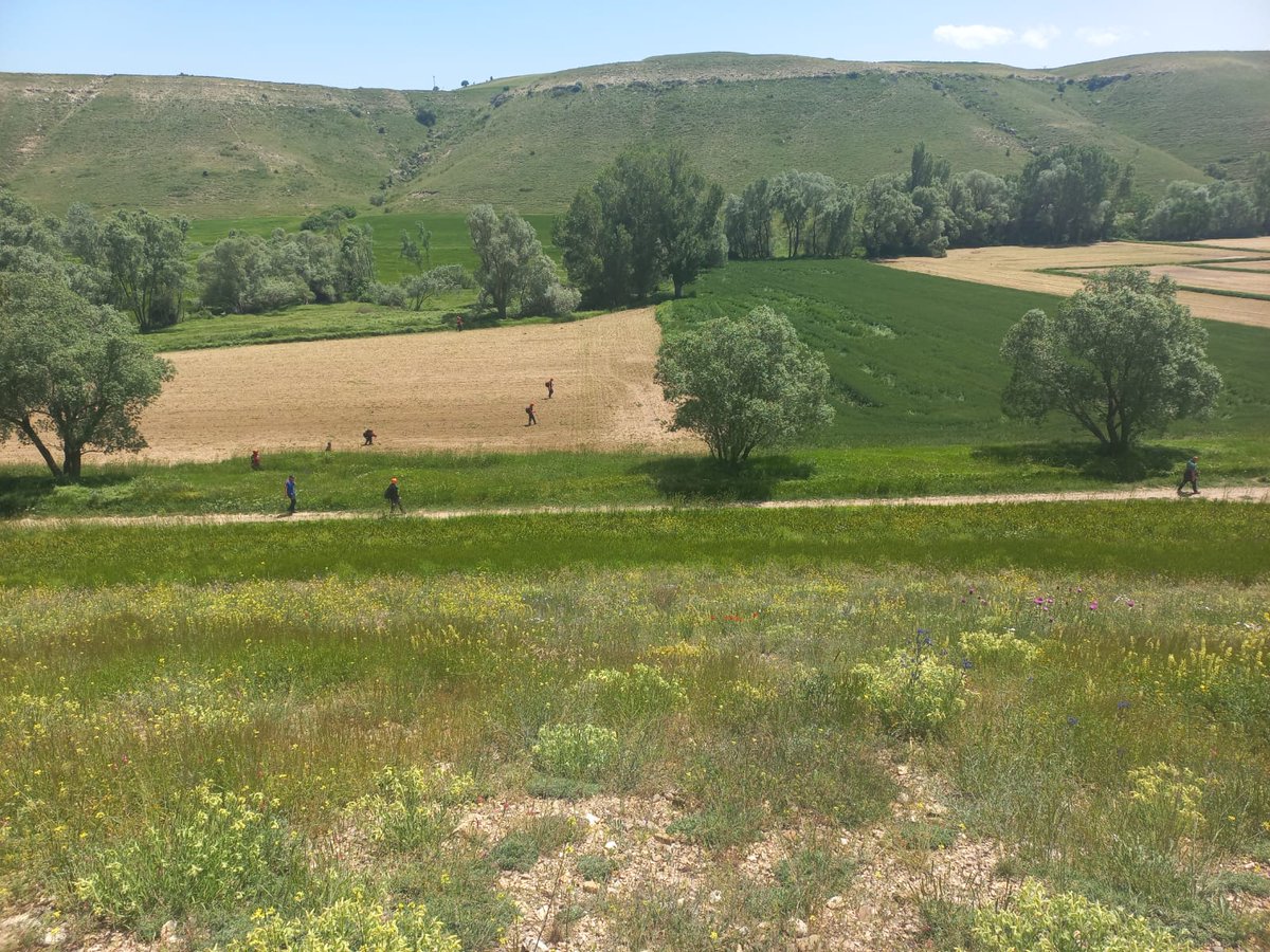 Kayseri Felahiye İlçesinde ot toplamak için evinden ayrılan ve haber alınamayan Menşure D. Yi Arama çalışmalarına Afad, Jandarma, Türkuaz, Anda, İhh Arama Kurtarma Ekipleri çalışmalarına devam ediyor.
<a href="/AFADBaskanlik/">AFAD</a> <a href="/AfadKayseri/">AFAD KAYSERİ</a> <a href="/AndaKayseri/">Anda Kayseri</a> 
<a href="/kayseriihh/">Kayseri İHH</a>