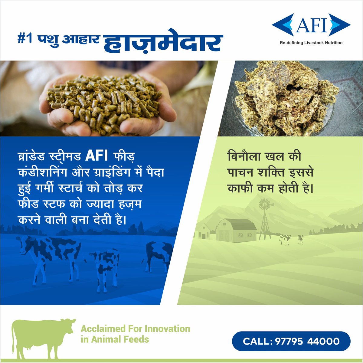 The heat generated during conditioning and pelleting in the branded steamed AFI Feed breaks down the starches in the feedstuffs, making them more digestible and there is a lower digestibility in the cotton cake.

#Dairy #Feed #CattleFeed #AnimalFeed #AnimalNutrition #Farming