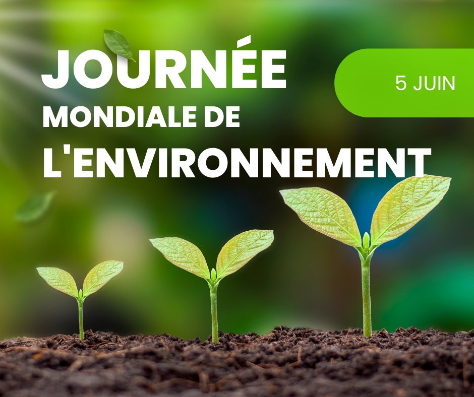 Web et Solutions (@webetsolutions) on Twitter photo C'est la  #JournéeMondiale de l'#environnement ! 🌳
🌿Prenons conscience de l'importance de le préserver.
#JournéeMondialeDelEnvironnement #biodiversité #sensibilisation #environnementdurable #ecologie C'est la  #JournéeMondiale de l'#environnement ! 🌳
🌿Prenons conscience de l'importance de le préserver.
#JournéeMondialeDelEnvironnement #biodiversité #sensibilisation #environnementdurable #ecologie